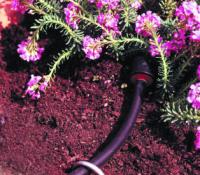 a recently installed drip line in the flowers bed